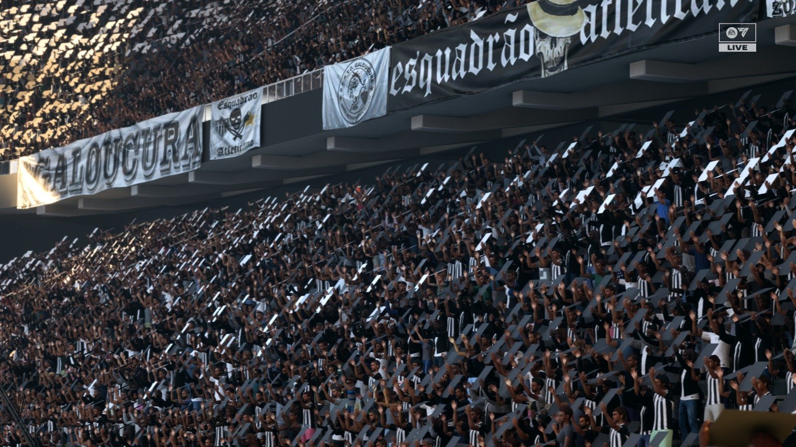 FCM 27 - Imagem 12